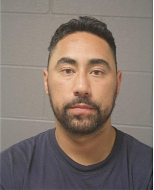 JUAN P PINA-GARCIA, Cook County, Illinois