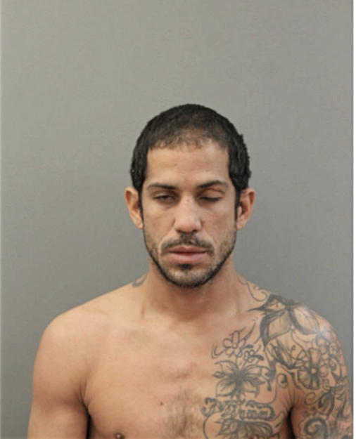 EDWIN TORRES RAMOS, Cook County, Illinois