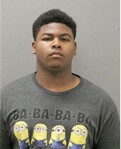 DYLAN K RILEY, Cook County, Illinois