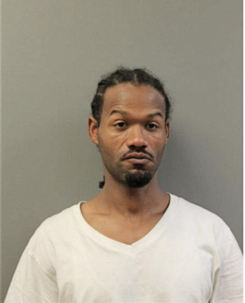 CHAUNCE A STURDIVANT, Cook County, Illinois