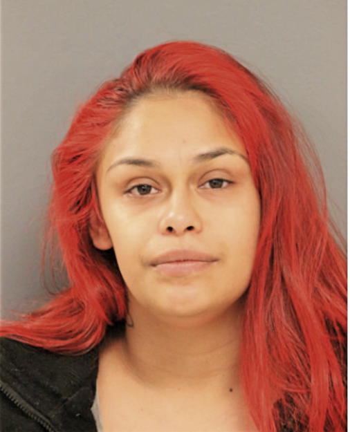INES VILLANUEVA, Cook County, Illinois