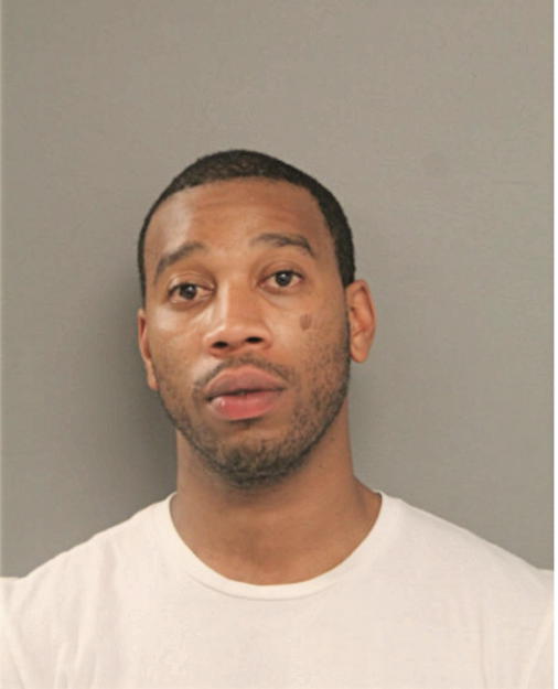 BRIAN D VINSON, Cook County, Illinois