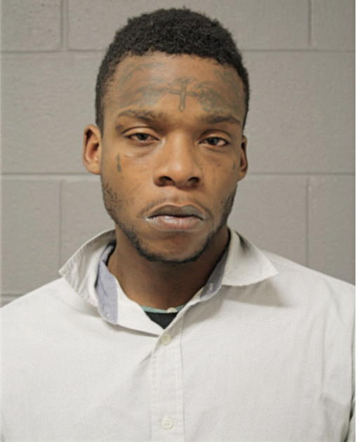 BRIAN J WILLIS, Cook County, Illinois