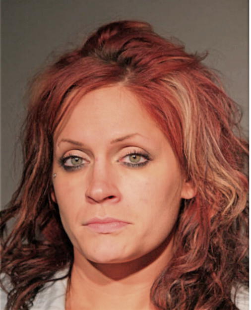 DANIELLE M ALLAN, Cook County, Illinois