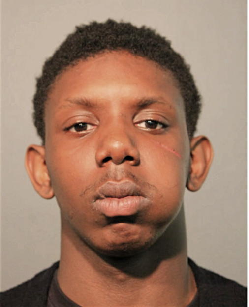 VERNON L BEASLEY, Cook County, Illinois