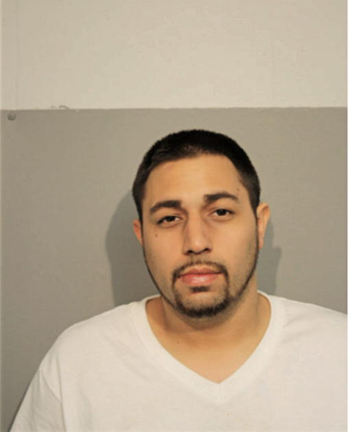ALFREDO E BRIGNONI, Cook County, Illinois