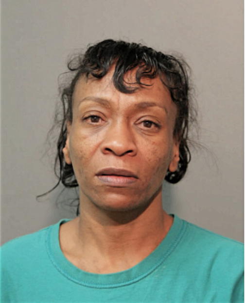 BRITT CAMEL, Cook County, Illinois
