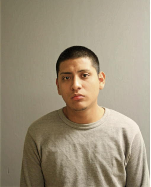 MARCO CASTRO-ROMAN, Cook County, Illinois
