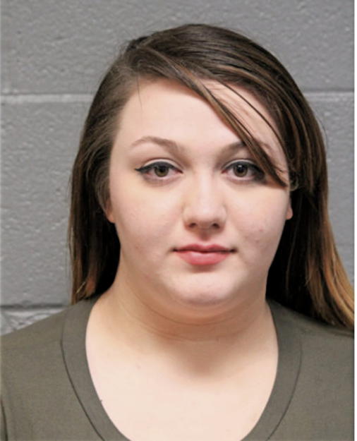 ROOSE C CIERA, Cook County, Illinois