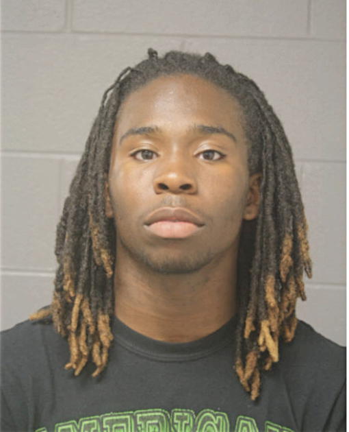 CAMERON C CILNE, Cook County, Illinois