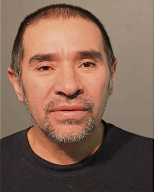 FAUSTINO D DOMINGUEZ, Cook County, Illinois