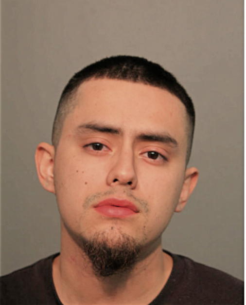 RAY ESTRADA, Cook County, Illinois
