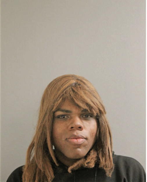 TERRELL A EVANS, Cook County, Illinois