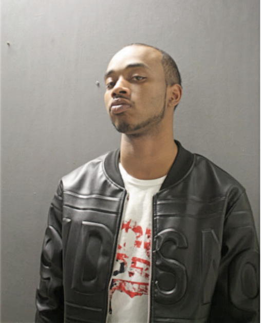 AARON J HAMILTON, Cook County, Illinois
