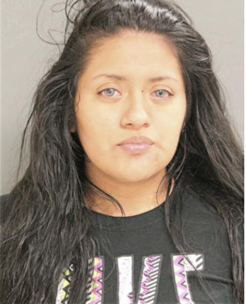 TATIANA L HENRIQUEZ, Cook County, Illinois