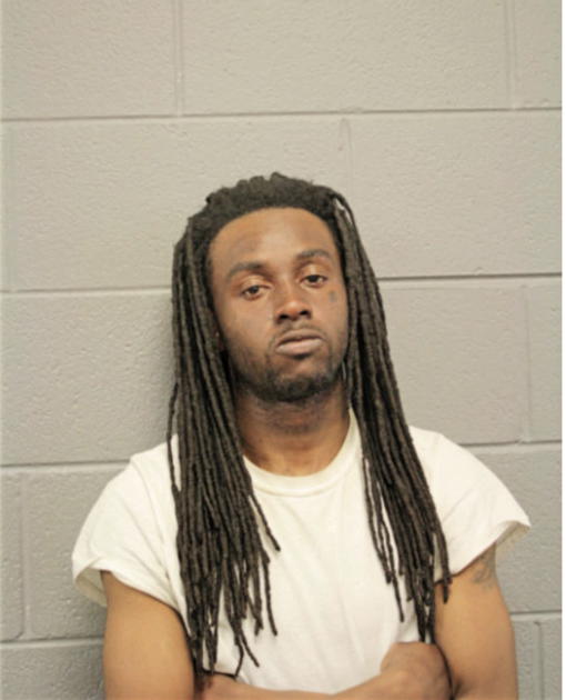 BRENDON J JOHNSON, Cook County, Illinois