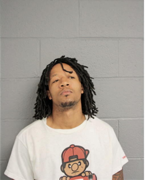 DWAYNE N JOHNSON, Cook County, Illinois