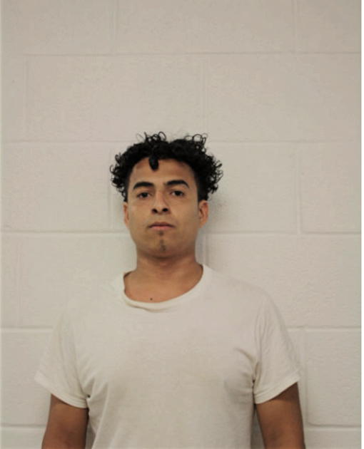 DAVID LICONA, Cook County, Illinois