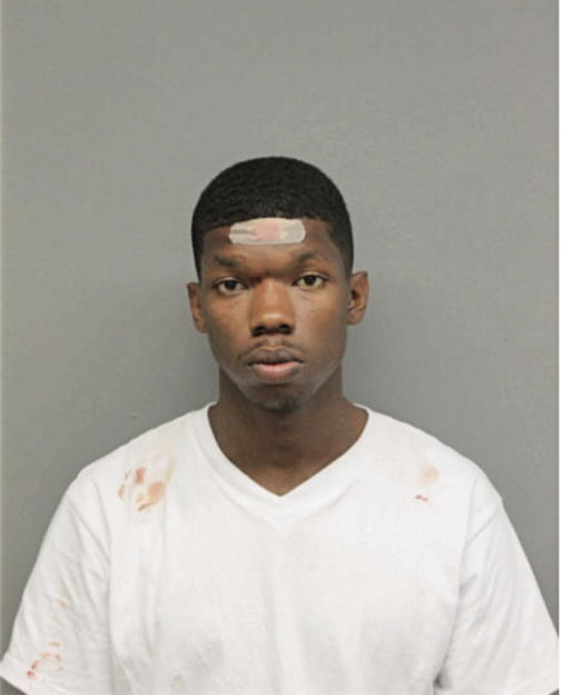 CLARK A NELSON-GREER, Cook County, Illinois