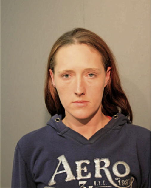 JAMIE L OLSON, Cook County, Illinois