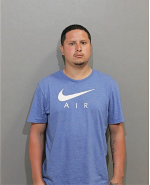 ROBERT E ORTEGA, Cook County, Illinois