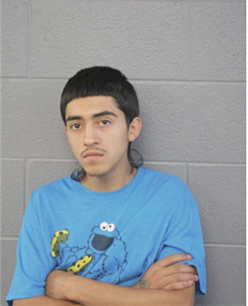 CRISTIAN PANTOJA, Cook County, Illinois