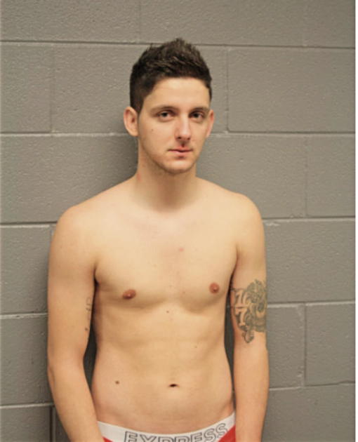 IBRAHIM RAMULIC, Cook County, Illinois