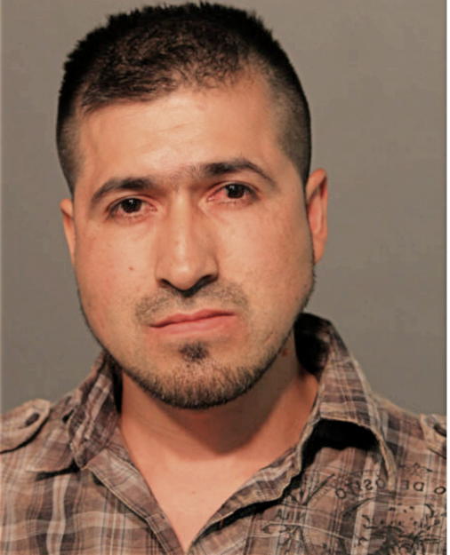 MARIO REYES, Cook County, Illinois