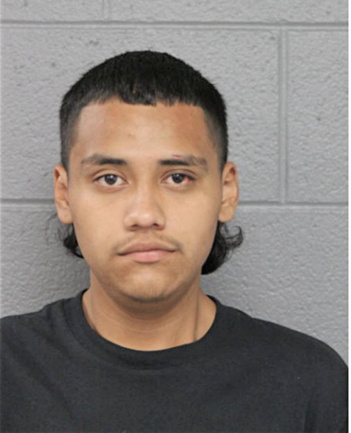 WILLIAM REYES, Cook County, Illinois