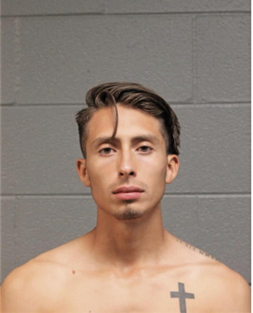 JONATHAN SALES, Cook County, Illinois