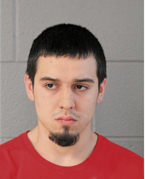 CRISTIAN TORRES, Cook County, Illinois