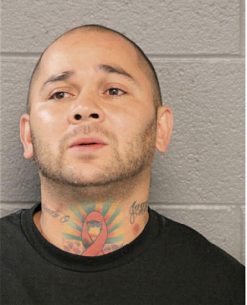 OTHON W TORRES, Cook County, Illinois