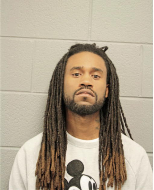 BRIAN W JOHNSON, Cook County, Illinois