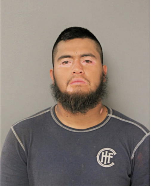 ARGENIS ZARATE, Cook County, Illinois