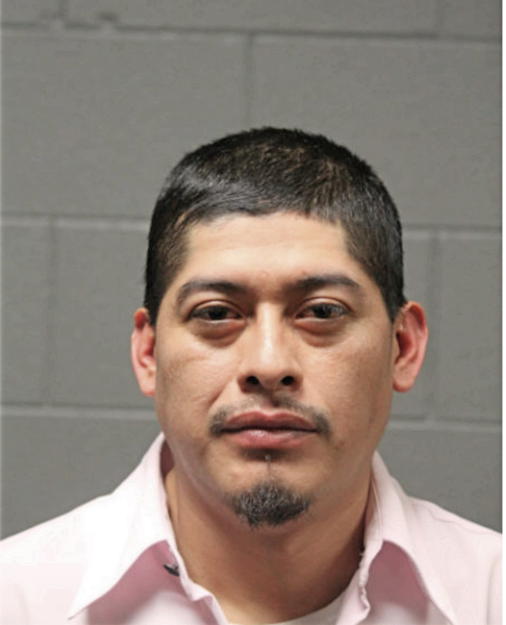 GUADALUPE ALVAREZ, Cook County, Illinois