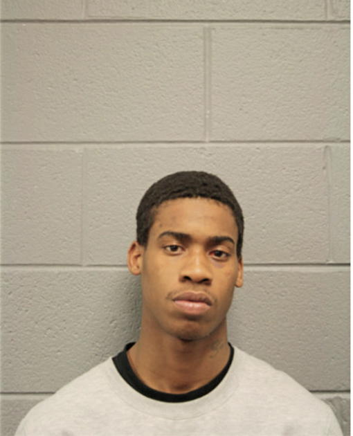 DARNELL A ANDERSON, Cook County, Illinois