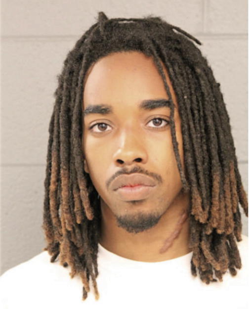 MATTHEW J ANDREWS, Cook County, Illinois
