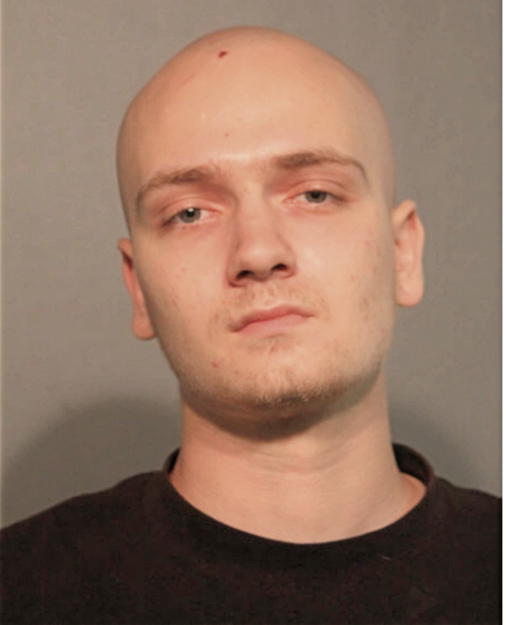 PIOTR ARTUR ANDRUSZEWSKI, Cook County, Illinois