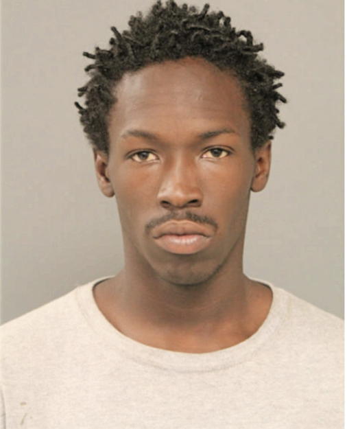 ALEX T BEAMON, Cook County, Illinois