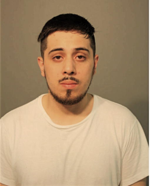 LUIS E BENITEZ, Cook County, Illinois