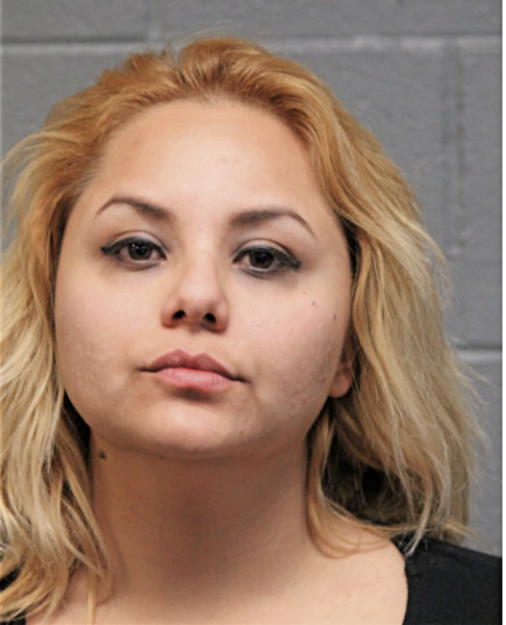 LIZANELLY CALDERON, Cook County, Illinois