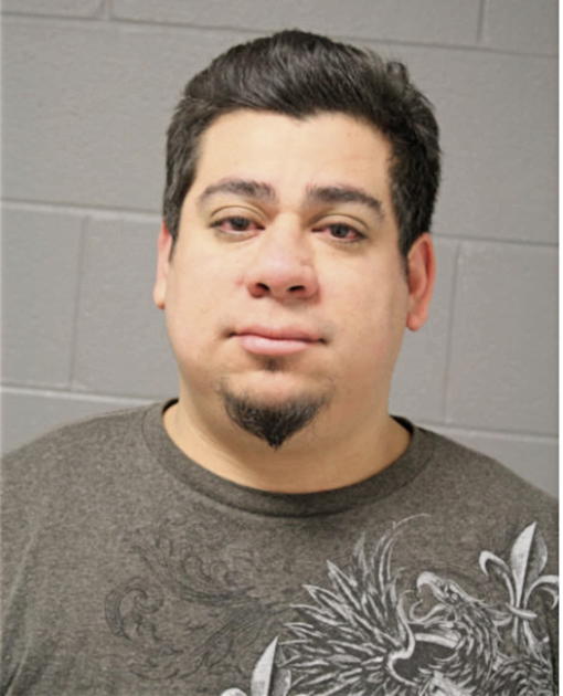 JAMES T CASTILLO, Cook County, Illinois