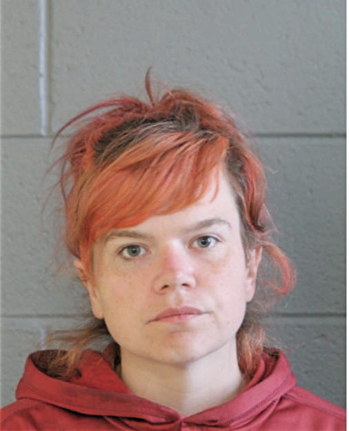 RYAN A CHAPMAN, Cook County, Illinois