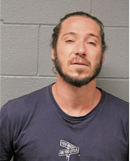 DANIEL W DIRCK, Cook County, Illinois