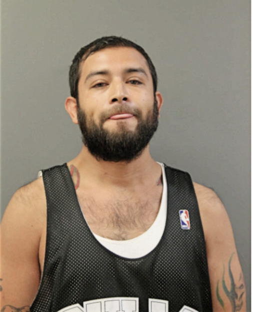 RAUL ELIVAR, Cook County, Illinois