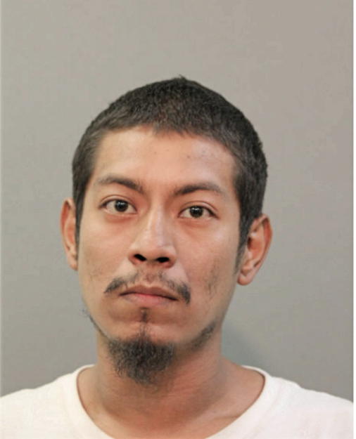 JOE ENRIQUEZ, Cook County, Illinois