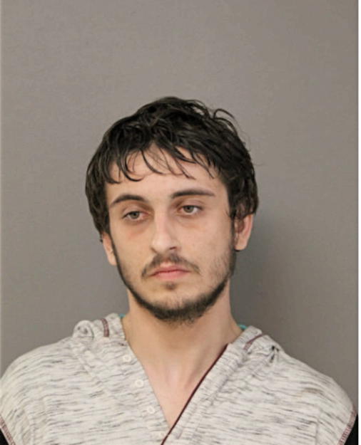 JACOB M FANNING, Cook County, Illinois