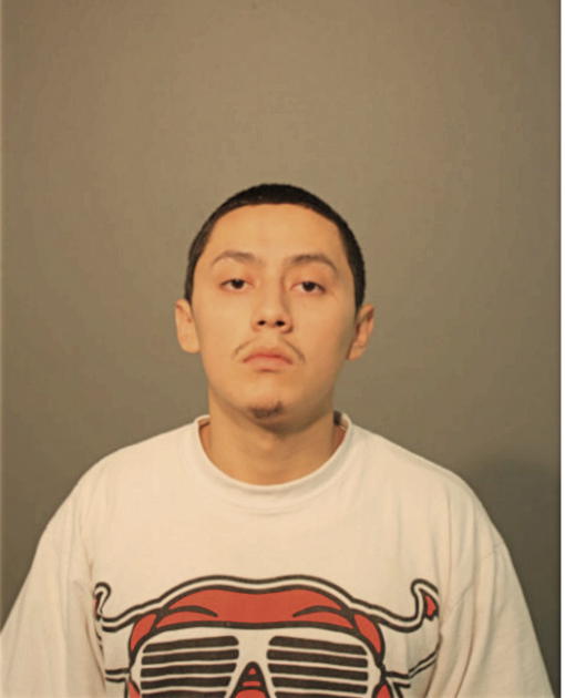 JOSE FLORES, Cook County, Illinois
