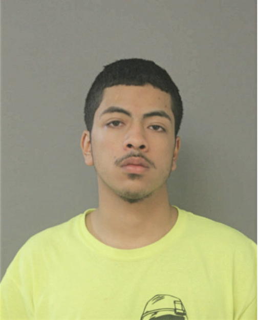 NICHOLAS A GARCIA, Cook County, Illinois
