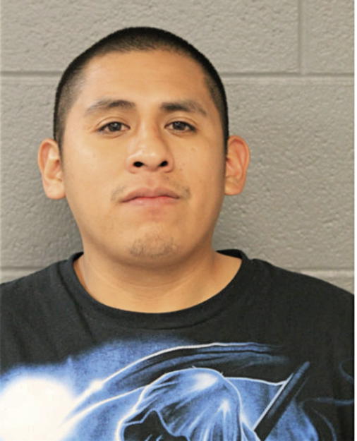 HECTOR GONZAGA, Cook County, Illinois